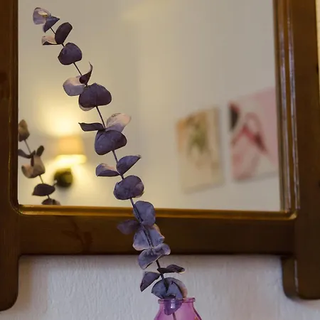 Hotel Elli Skopelos